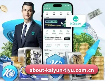 开云入口 APP 深度功能