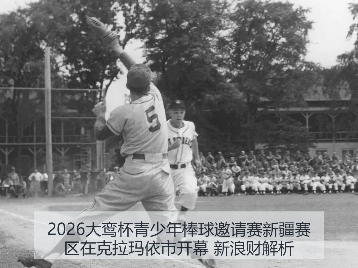 2026大鸾杯青少年棒球邀请赛新疆赛区在克拉玛依市开幕 财解析